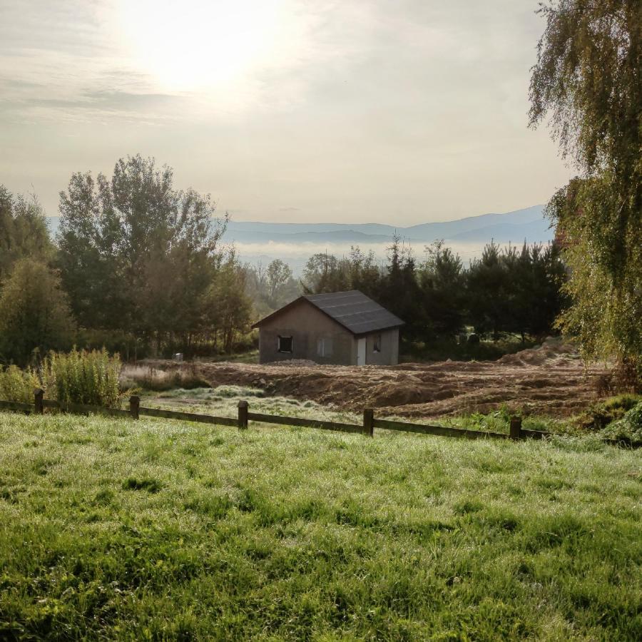 Domek Na Wzgorzu Wojcieszyce Dış mekan fotoğraf